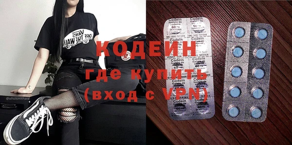 прущие грибы Переславль-Залесский