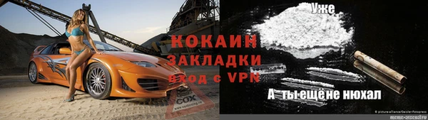 прущие грибы Переславль-Залесский