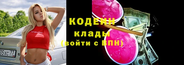 прущие грибы Переславль-Залесский