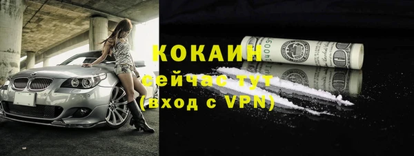 jwh Пересвет