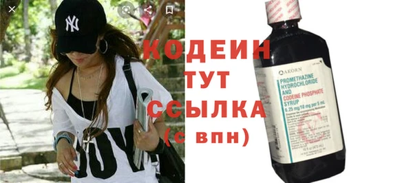 прущие грибы Переславль-Залесский