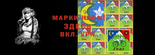 прущие грибы Переславль-Залесский