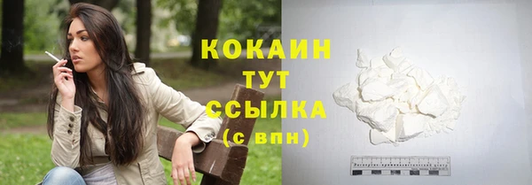 прущие грибы Переславль-Залесский