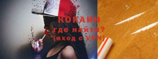 прущие грибы Переславль-Залесский