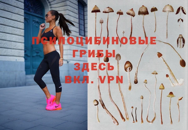 экстази Пестово