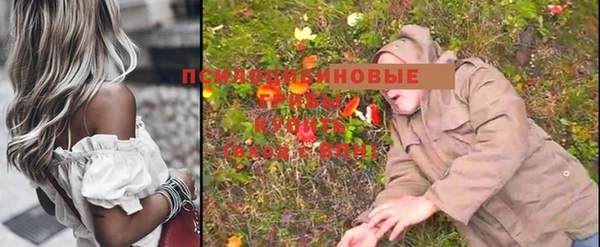 jwh Пересвет