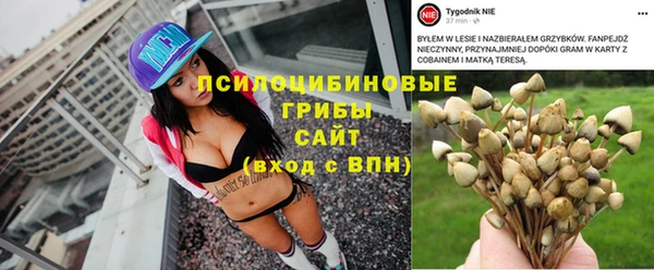 экстази Пестово