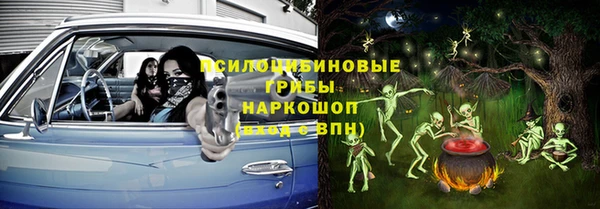 jwh Пересвет