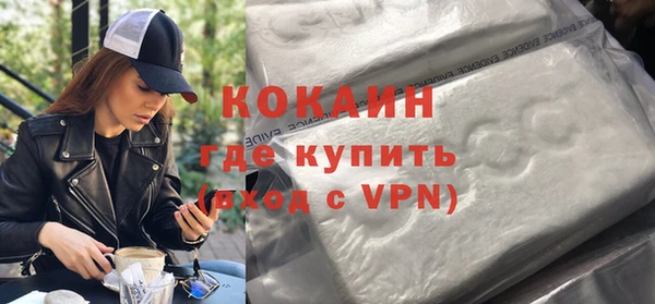 прущие грибы Переславль-Залесский
