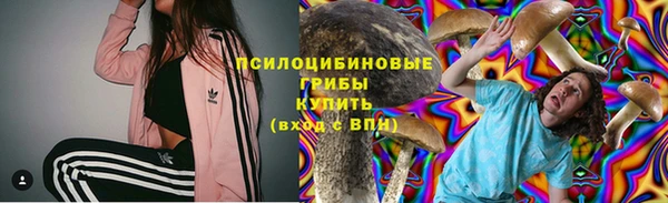 jwh Пересвет