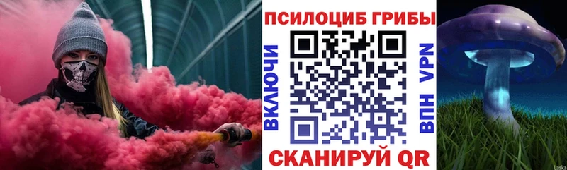 сколько стоит  MEGA маркетплейс  Псилоцибиновые грибы ЛСД  Грозный 