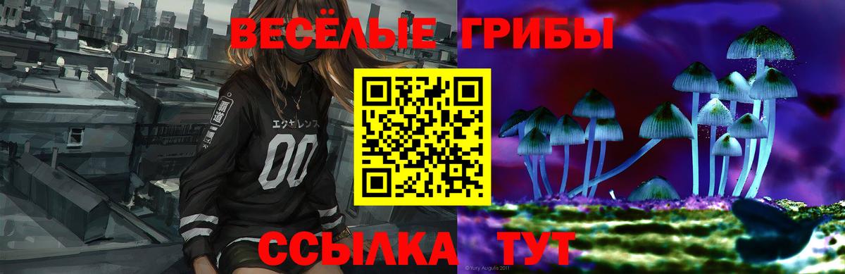 Грозный  Псилоцибиновые грибы Psilocybe  Вход с VPN 