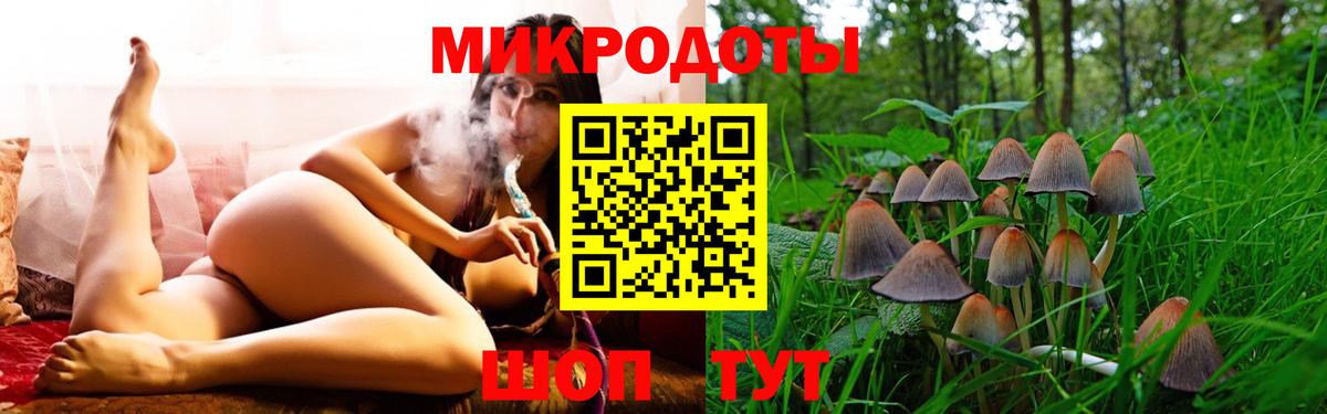 Псилоцибиновые грибы Cubensis Грозный