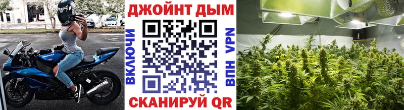 Конопля VHQ Грозный